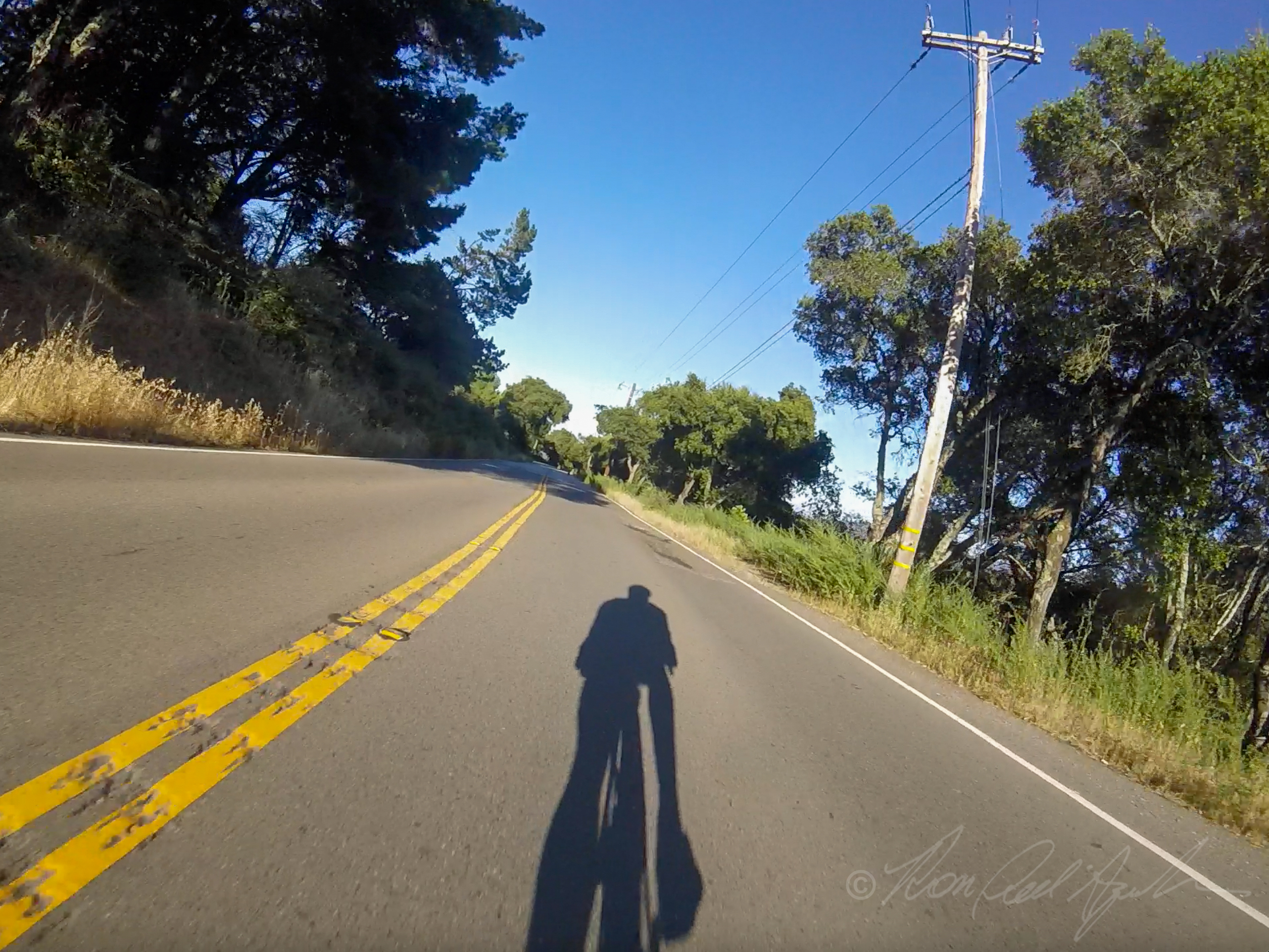 Chasing Shadows-2.jpg